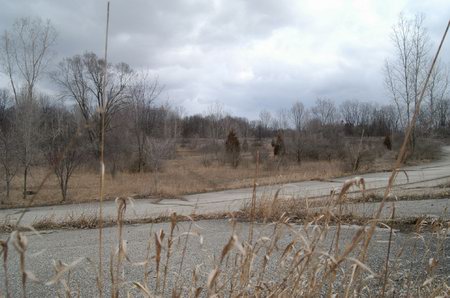Jackson Motor Speedway - Weeds